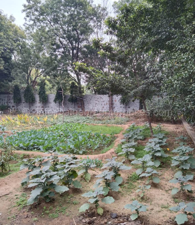 Dera Mandi (ag658)